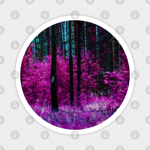 Fantasy purple forest Magnet by AnnArtshock