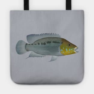 Turquoise Cichlid Tote