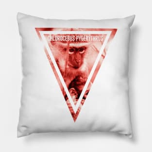 Vervet Monkey Travel Sticker Pillow