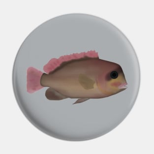 Heterochromis multidens Pin