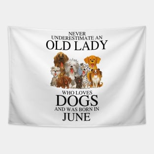 Never Underestimate An Old Lady Who Loves Dogs And Was Born In June Tapestry