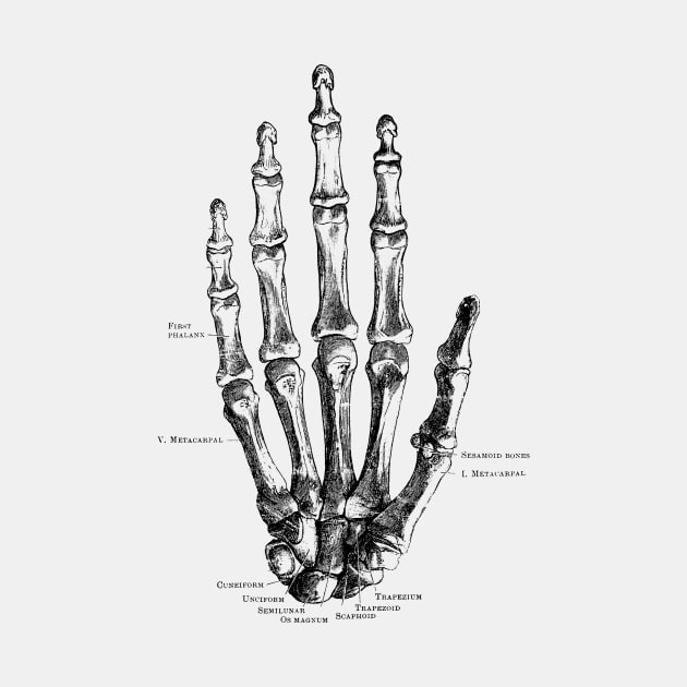 Hand Skeletal Diagram - Vintage Anatomy Poster by Vintage Anatomy Prints