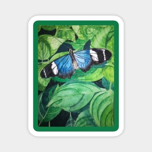 Blue butterfly watercolour painting Magnet