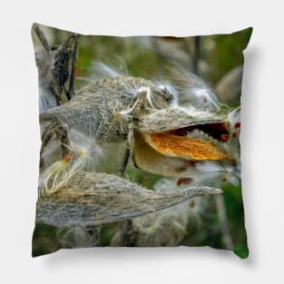 Milkweed Pillow