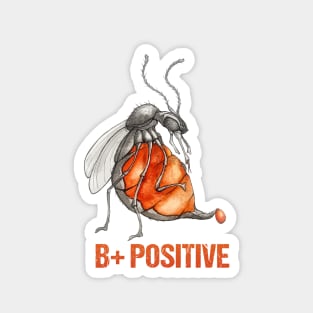 Be Positive Magnet