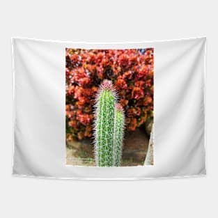 Cactus Tapestry