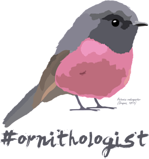 Ornithologist | Pink robin Magnet