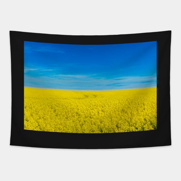 Ukraine national flag landscape - Landscape resembling Ukrainian Flag Tapestry by mrsupicku