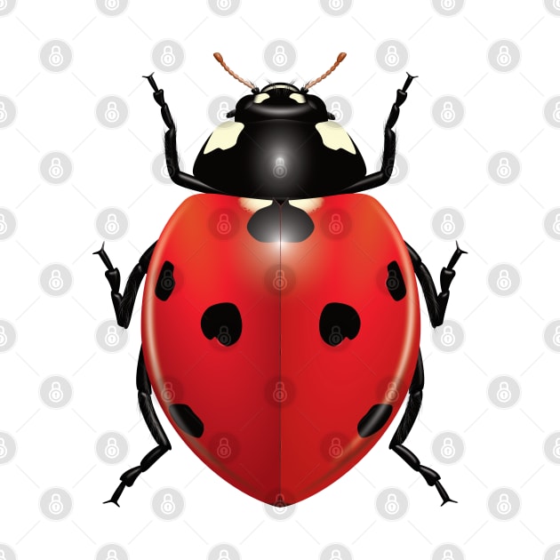 Ladybug by Ricogfx