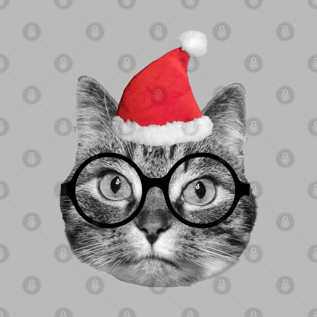 Cute fluffy tabby cat celebrating Christmas Eve by Purrfect