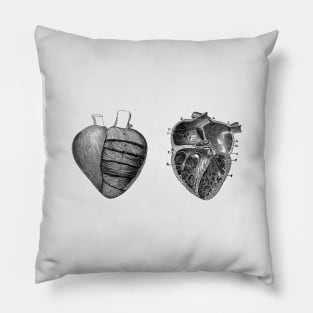 Heart Diagram - Dual View - Vintage Anatomy Pillow