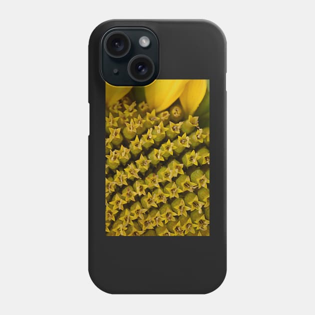 Flowers in a flower..(Sunflower) Phone Case by declancarr