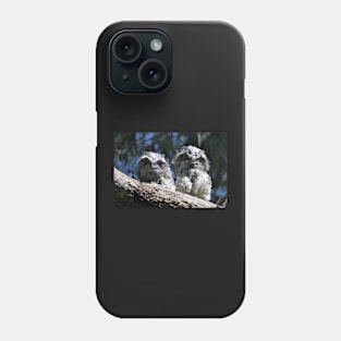 Tawny Frogmouth babies Phone Case