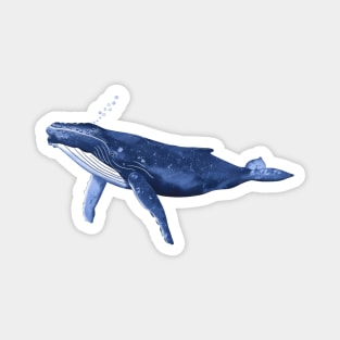 Humpback Whale Magnet