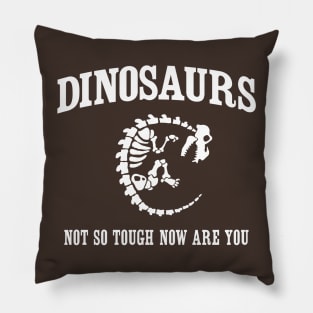 Dinosaurs. Not so tough now are you Pillow