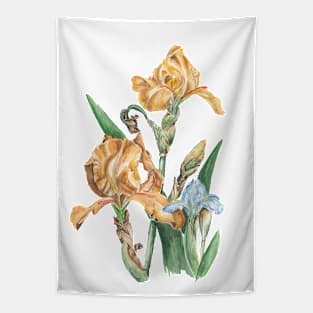 Iris Tapestry