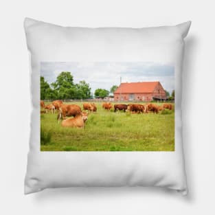 A herd of brown simmental cows grazing on a green pasture Pillow