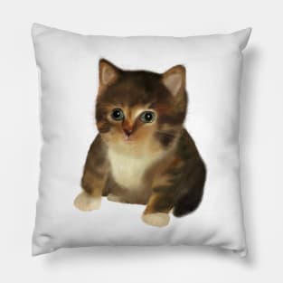 Cute little painted cat Pillow