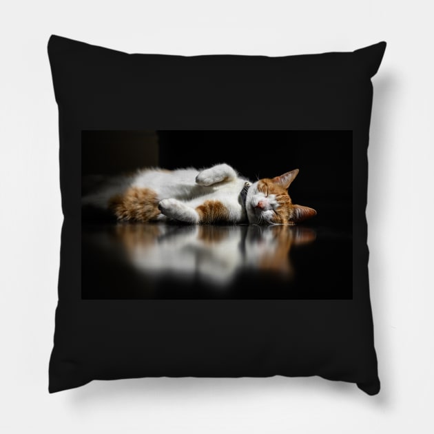 Marmalade the Ginger Tabbby Pillow by Sampson-et-al