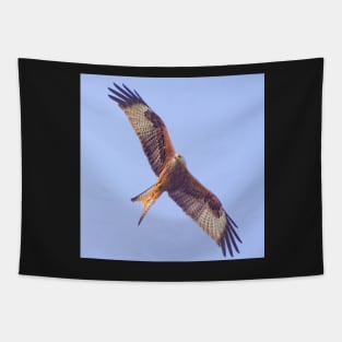 Red Kite in Flight Tapestry