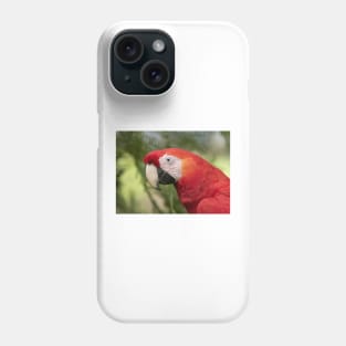 Scarlet Macaw - Costa Rica Phone Case