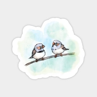 Zebra Finches Magnet