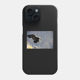 Pérou - canyon de colca, Condor Phone Case