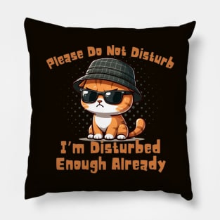 Please Do Not Disturb Pillow