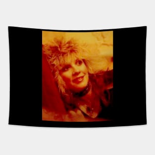 Stevie Nicks Tapestry