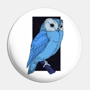 Night Owl Pin