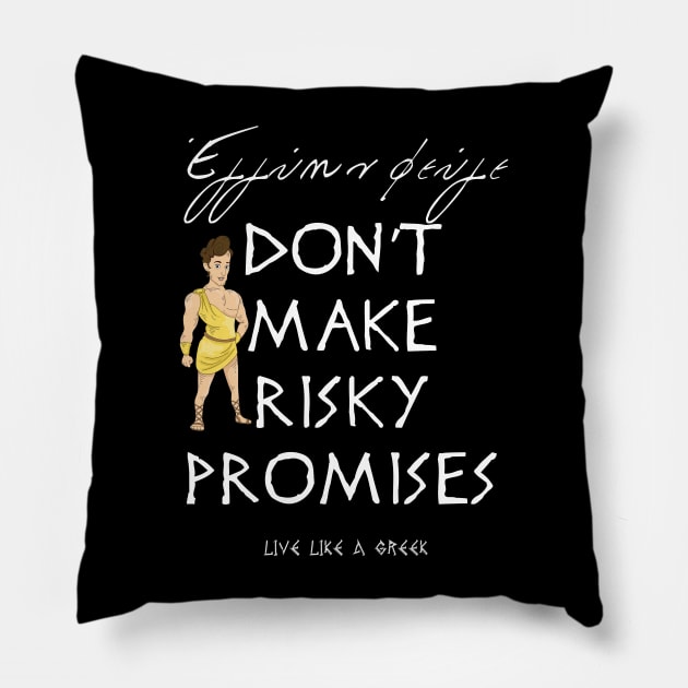 Dont make risky promises and live like a Greek ,funny apparel hoodie sticker coffee mug gift for everyone Pillow by district28