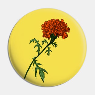 French Marigold Flower Vibrant Ink Drawing Pin