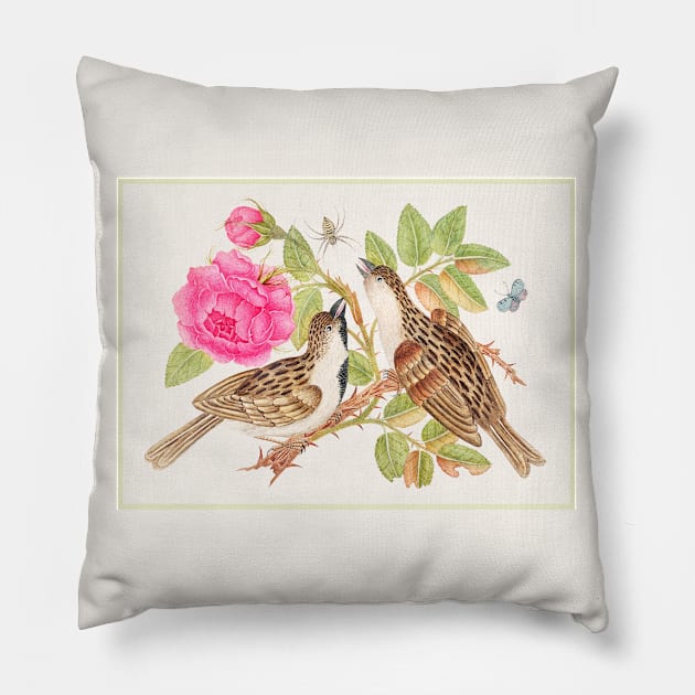 Pair of Brown Birds on Rose Stem with Butterfly and Spider (18th Century) Pillow by WAITE-SMITH VINTAGE ART