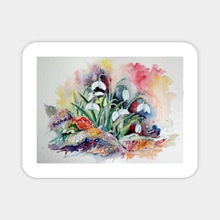 Snowdrops Magnet