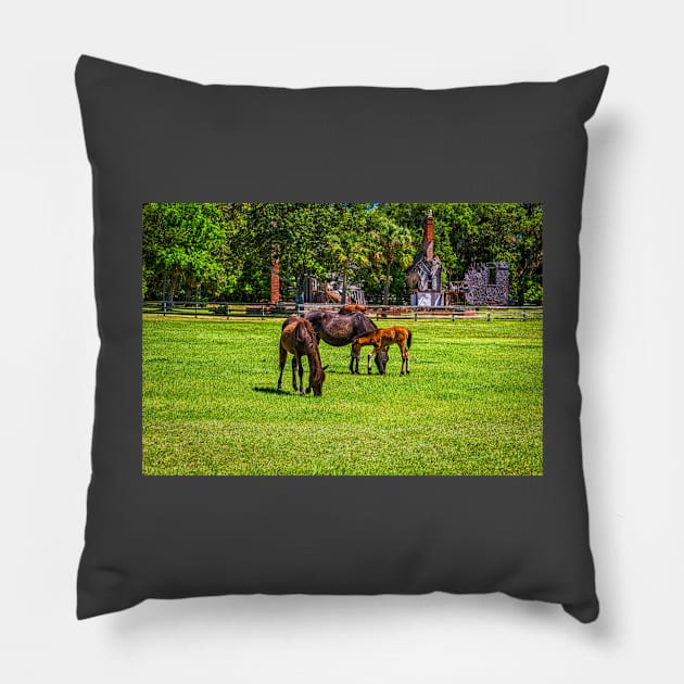 Wild Horses at Cumberland Island National Seashore Pillow by Gestalt Imagery