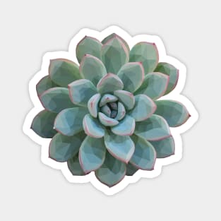 Geometric Green Succulent Magnet