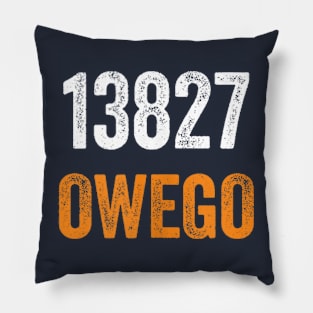 13827 Owego Zip Code, Moving to 13827 Owego Pillow