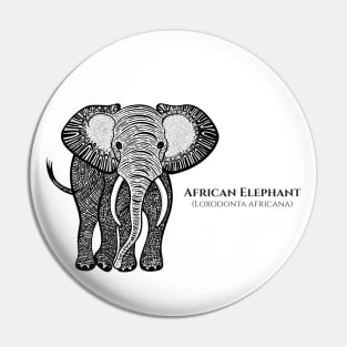 African Elephant with Common and Latin Names - animal design Pin