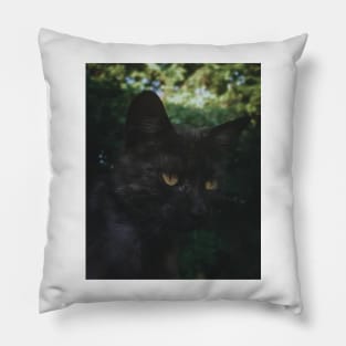 black cat Pillow