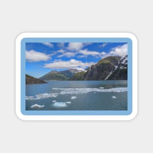 USA. Alaska. Lake with Flowing Ice. Magnet