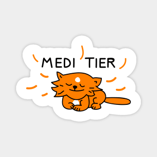 Funny cat meditates Magnet