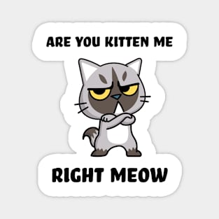 Are you kitten me right meow Magnet