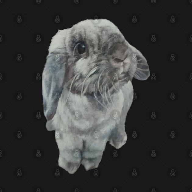 Snoopy the mini lop bunny! by StudioFluffle