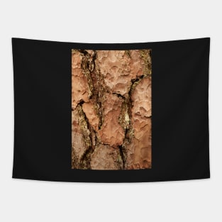 Brown golden cracked tree Tapestry