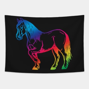 Colourful Cob Tapestry