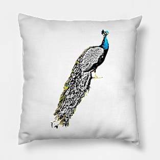 Peacock Digital Art | Melanie Jensen Illustrations Pillow