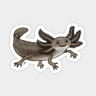 Amphibians - Axolotl - Wild Brown Magnet