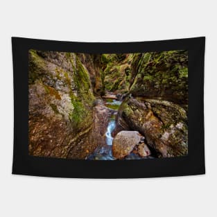 Canyon and river Tapestry