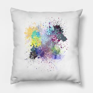 Oblivion & Oathkeeper Splash (White) Pillow