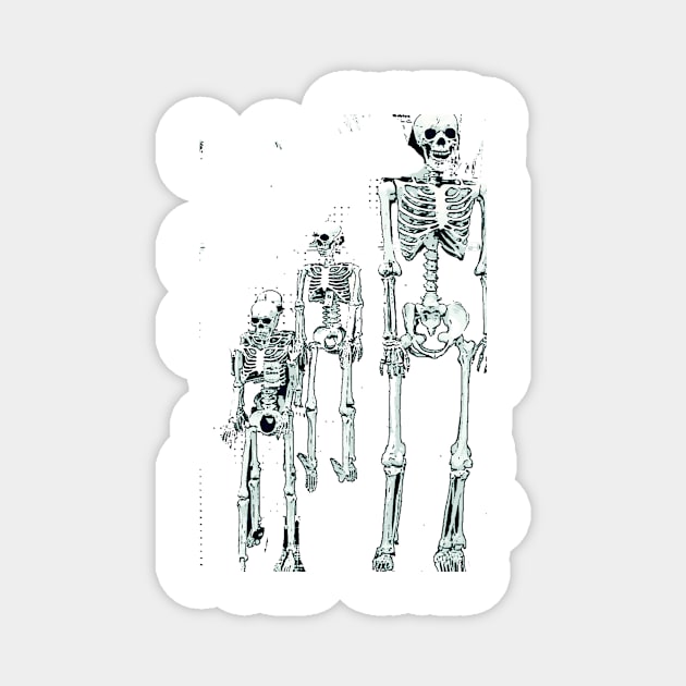 3 skeletons bywhacky Magnet by bywhacky